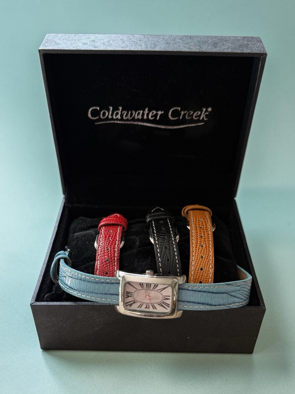 🫶🏻 Coldwater Creek Women's Interchangeable Strap Watch